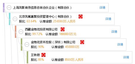 上海凤影商务信息咨询合伙企业 有限合伙