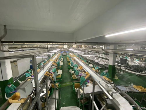 同心战“疫” 光明食品集团海外疫情防控与稳产保供的实践与启示