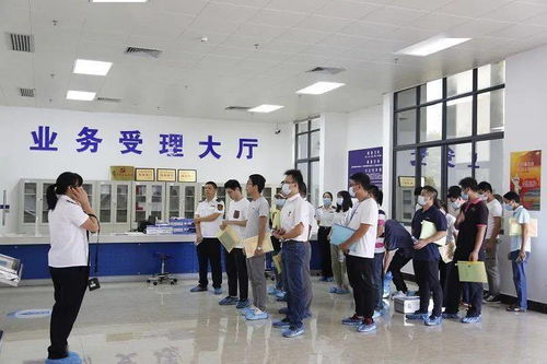 北海市成功举办电子信息制造业产品强制认证质量提升培训会