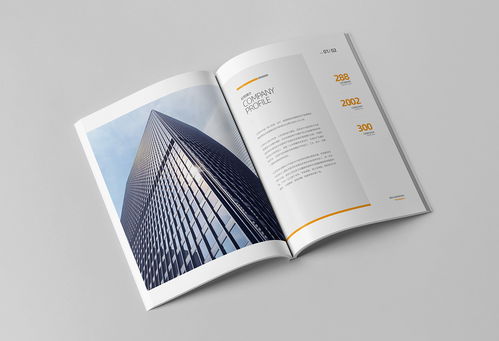 简约大气，专业信赖 商务咨询与投资企业公司画册